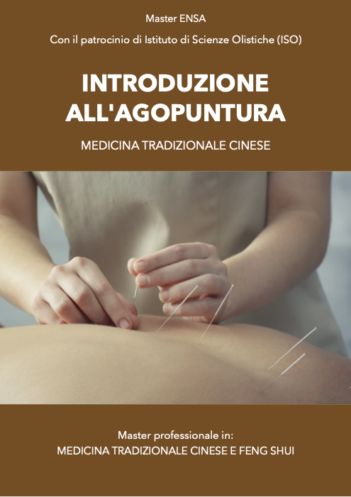 Agopuntura, principi di base