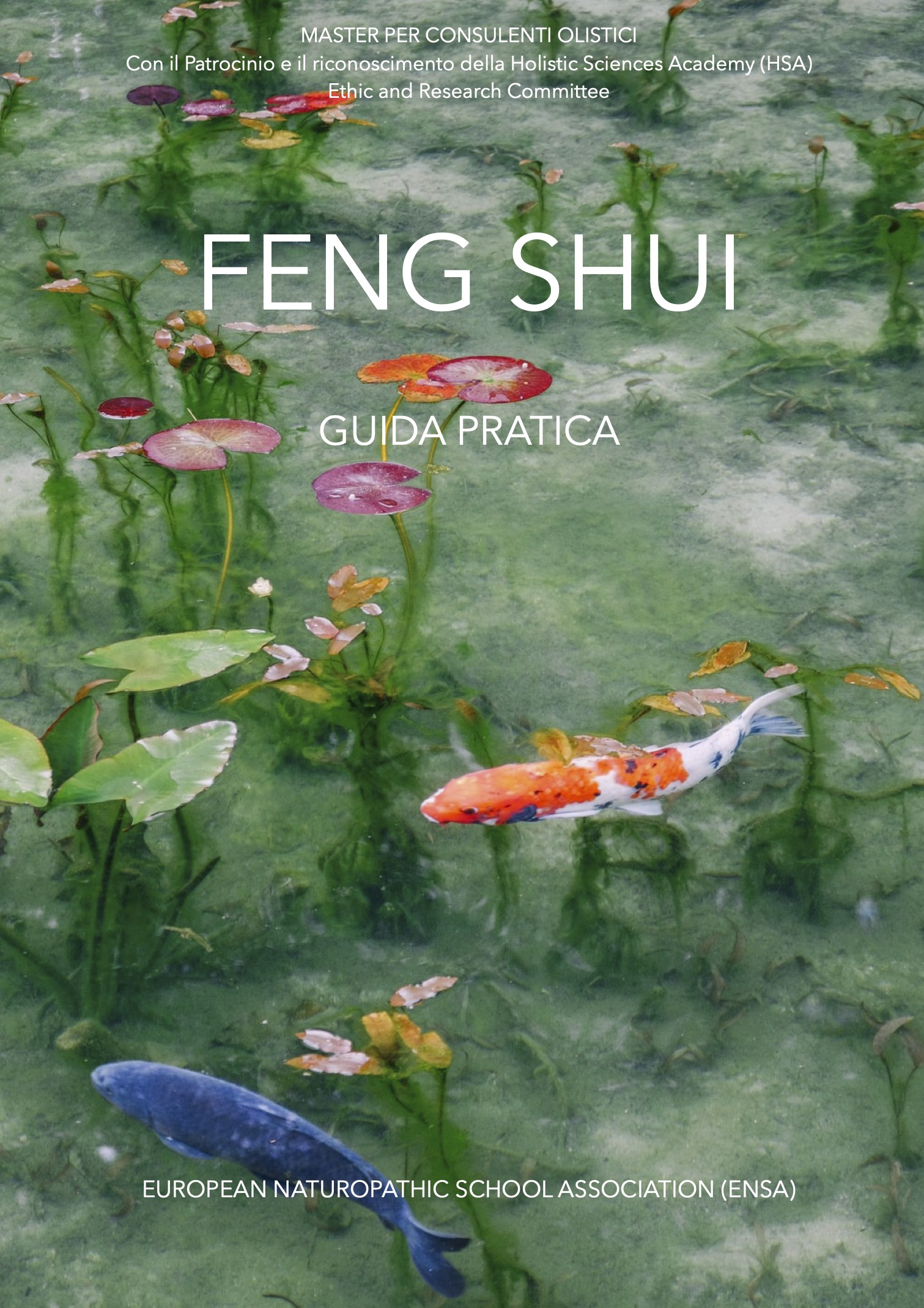 Feng Shui, guida pratica