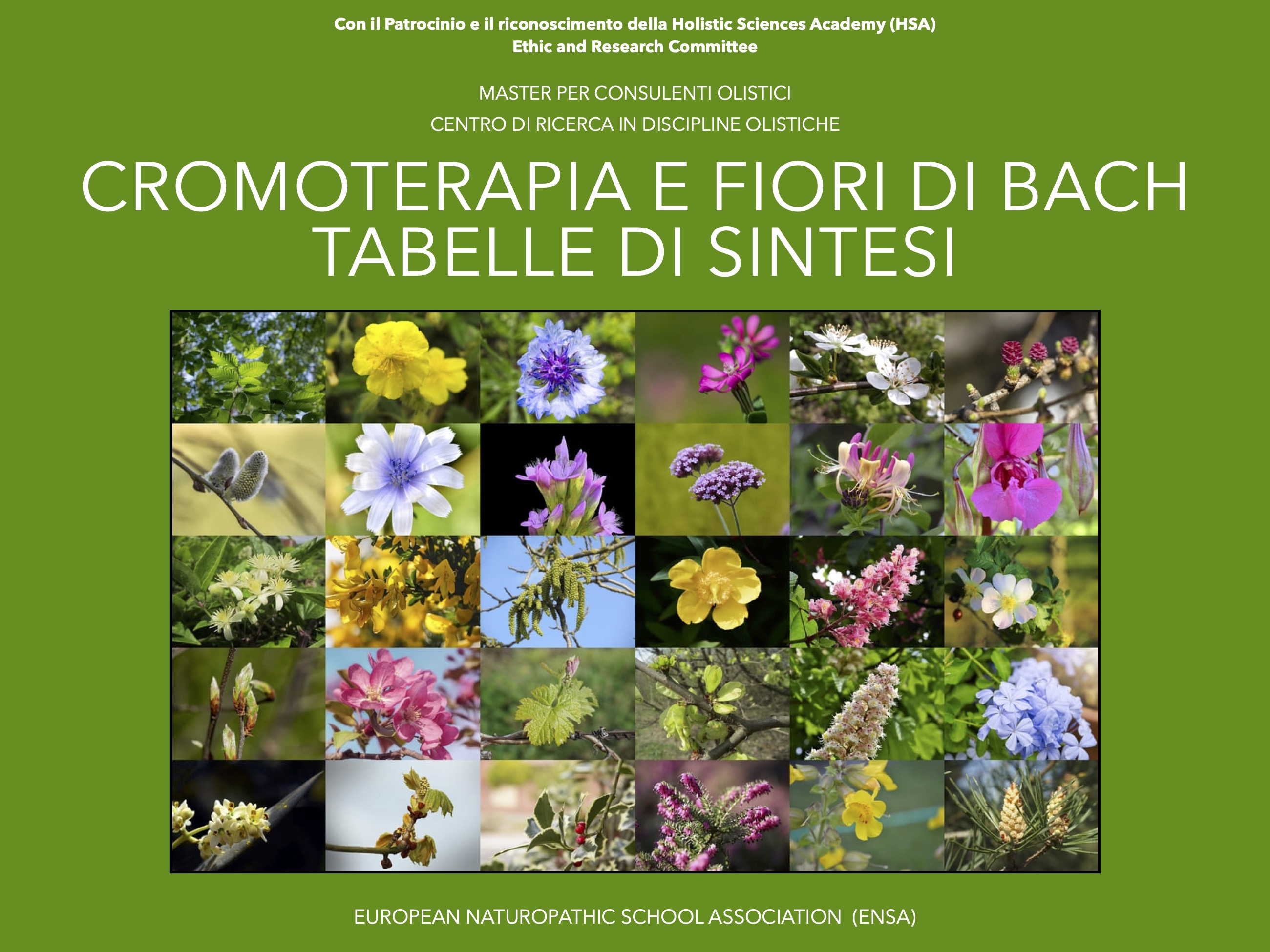 Cromoterapia e fiori di Bach- tabelle di sintesi