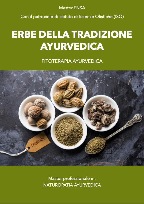Erbe della tradizione ayurvedica