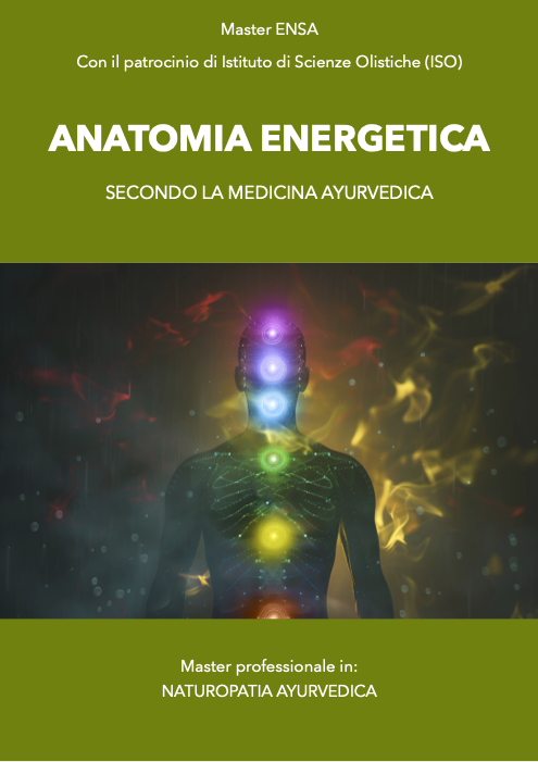 ANATOMIA ENERGETICA